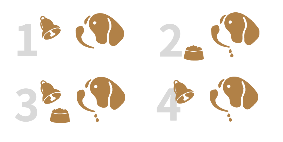 巴普洛夫經(jīng)典條件反射試驗(yàn)